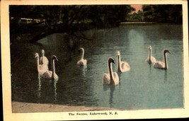 The Swans - Lakewood Nj Vintage White Boarder POSTCARD-BK44 - £2.38 GBP