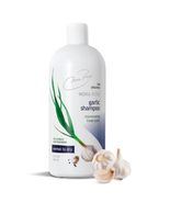 Shampoo De Ajo Nora Ross Original, Combate Caida De Cabello, Caspa, Sebo... - £30.76 GBP