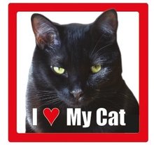 I Love My Cat Ceramic Photographic Square Coaster with Breed Name (Black) - £2.54 GBP