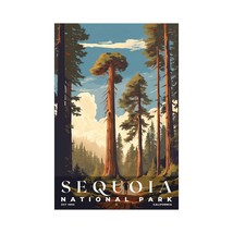 Sequoia National Park Poster | S05 - £26.15 GBP+