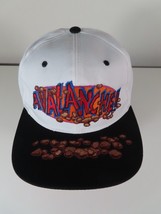 VTG Elitch Gardens Avalanche (AKA Shake Rattle and Roll) 3D Baseball Hat... - £39.20 GBP