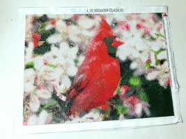 Diamond Art Painting COMPLETED HANDMADE RED CARDINAL Canvas 12” x 16&quot; - £29.46 GBP
