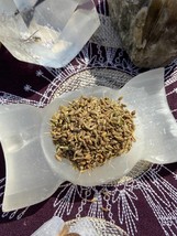 .5 oz Anise Seeds, Divination, Love, Nightmares, Purification,Psychic Pr... - £0.97 GBP
