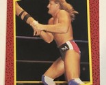Southern Boys WCW Trading Card World Championship Wrestling 1991 #129 - $1.97