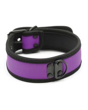 Plesur Neoprene Puppy Collar Purple - $12.96