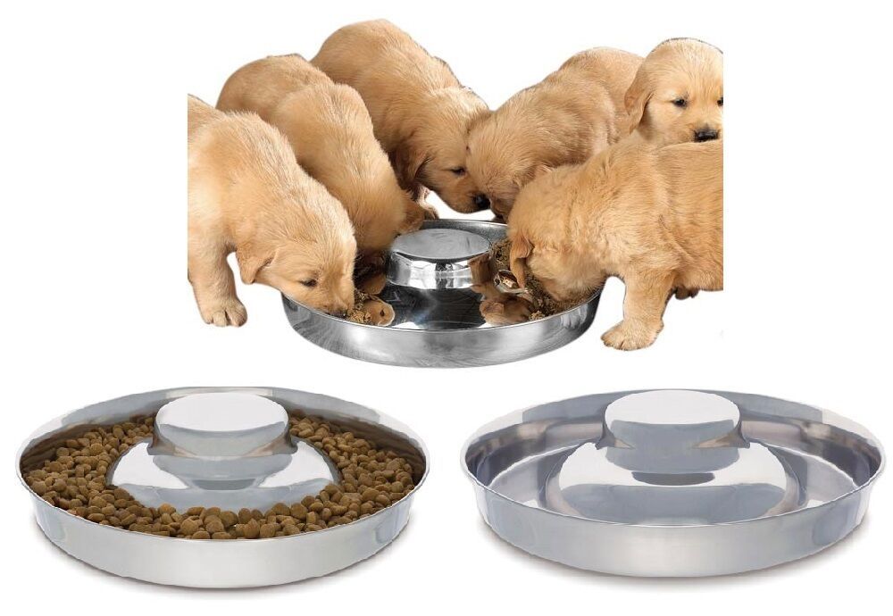 High Quality Stainless Steel Multi Puppy Litter Feeder Dish Bowl - Choose Size - £21.90 GBP - £25.58 GBP