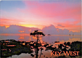 Postcard Florida Key West at Sunset Gulf Stream Card Co.  6 x 4 Inches - £4.61 GBP