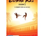 Cobra Kai: Season 1 DVD - $14.05