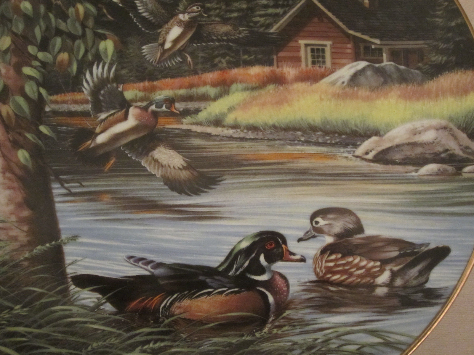 WOOD DUCKS IN JUNE collector plate KEN MICHAELSEN Wildlife SPORTING YEAR Item image 2