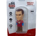 Big Bang Theory Real Sheldon Cooper USB Flash Drive 8GB Warner Funko Ner... - $28.71