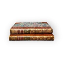 Sir Walter Scott Books Antique First Edition Chronicles of The Canongate (1828) - £185.00 GBP