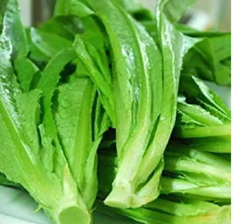 700 Seeds A Choy/Pai Tsai/Taiwanese//Komatsuma Sweet Tender Asian Green Seedss U - £4.85 GBP