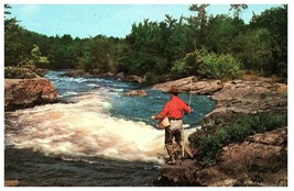 Greetings from New Boston Texas Piney Woods East Texas Fishing Postcard 1979 - £7.06 GBP