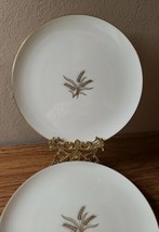 4 Vintage Lenox Dinner Plates R-442 Wheat Pattern Gold Tone Rim  - £31.45 GBP