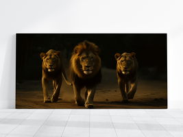 Lion Canvas Painting Picture Wildlife Animal Art Home Decor Lion Pack HD 20x40in - £56.12 GBP