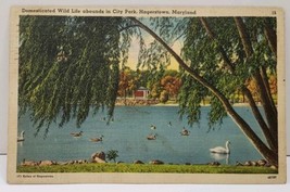 Hagerstown Maryland Domesticated Wild Life abounds in City Park 1942 Postcard D4 - £5.52 GBP