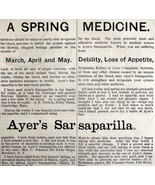 Ayers Sarsaparilla Spring Meds 1885 Advertisement Victorian Quack Medici... - $19.99