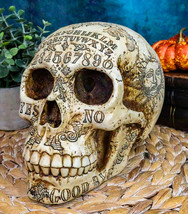 Ebros Solar Astrology Celestial Skull Statue Cartography Skull Cranium Figurine - £30.36 GBP