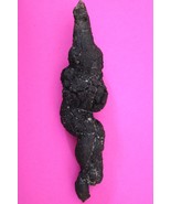 Giant Lizard Poop 5 Million Years Old Coprolite Genuine Fossil Dino Girl... - $47.98 CAD