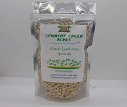 Black Eyed Pea Sprouting Seed, Organic, Non GMO - 13oz - Country Creek Brand - B - $12.49