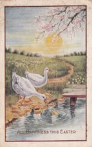 All Happiness This Easter Ducks Babies 1917 Gays Illinois Whitney Postcard D18 - £2.34 GBP