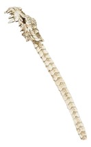Ancient Fossil Spine Bone Skeleton Dragon Hand Back Itch Scratcher Figurine - £20.70 GBP