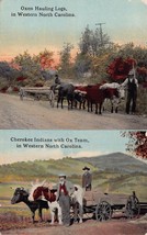 Western North Carolina~Oxen Hauling Logs + Cherokee Indians &amp; Ox Team Postcard - £15.42 GBP