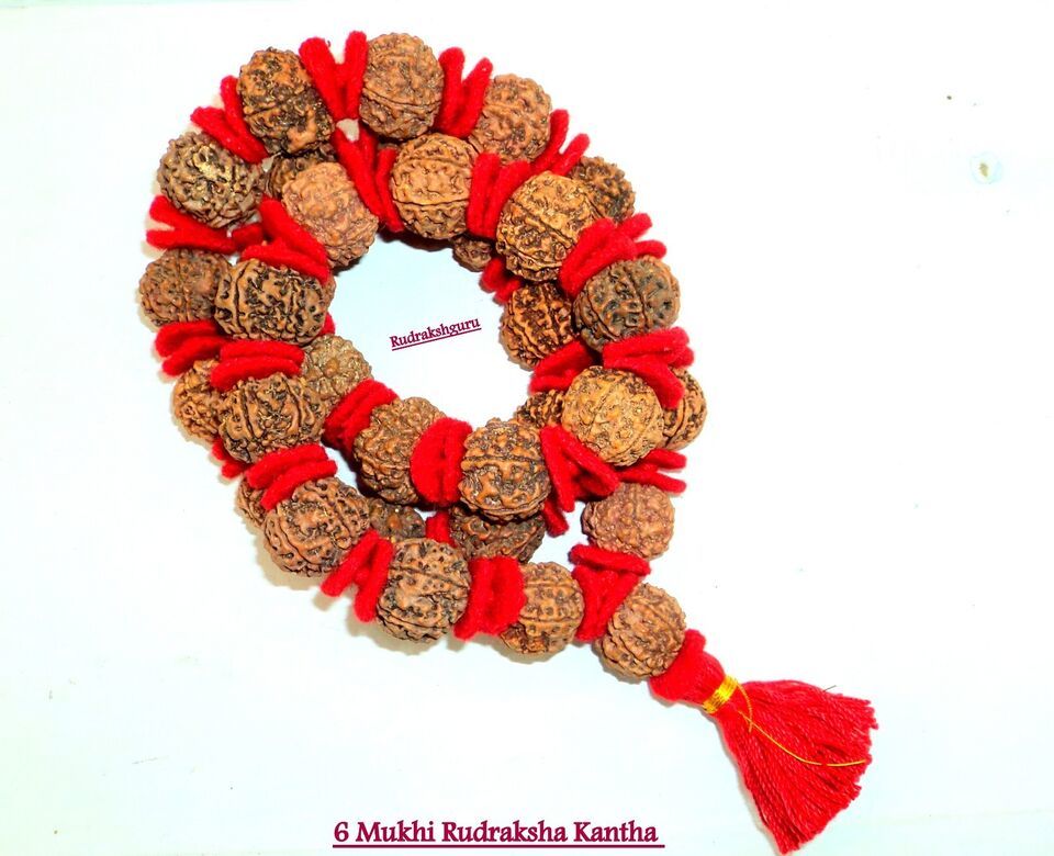 6 Mukhi Rudraksha Kantha / Rare Mars Rudraksha Mala - 33 Bead - Nepal - $74.25
