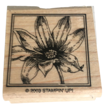 Stampin Up Rubber Stamp Flower in Square Garden Season Life Friend Card Making - £3.15 GBP