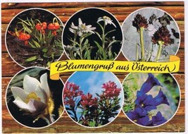 Austria Postcard Flowers Of Austria Multi View  - £2.31 GBP