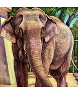 African Elephant 1954 Art Print Paul Bransom Marlin Perkins Zooparade DWDD3 - $70.06 CAD