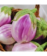 LKS Rosa Bianca Egg Seeds 50 Heirloom Seeds Per Packet Non Gmo Seeds Bot... - €18,62 EUR