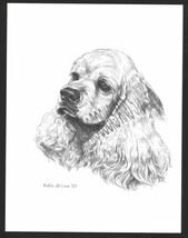 #356 GOLDEN COCKER SPANIEL dog art print  Pen &amp; ink drawing * Jan Jellins - $12.38