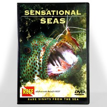 Sensational Seas by Anna DeLoach (2004, DVD, w/ 24 pg. Booklet) Like New ! - £9.72 GBP