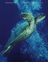 Environmental Science: Working with the Earth (with CD-ROM and InfoTrac)... - $54.45