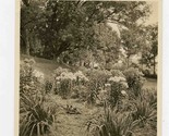 Garden at Residence of Josiah S Maxcy in Gardiner Maine Photo 1922 A Q C... - $21.78