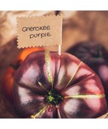 Cherokee Purple Tomato Seed Set (5) - Cultivate Juicy Heirloom Tomatoes,... - £5.58 GBP