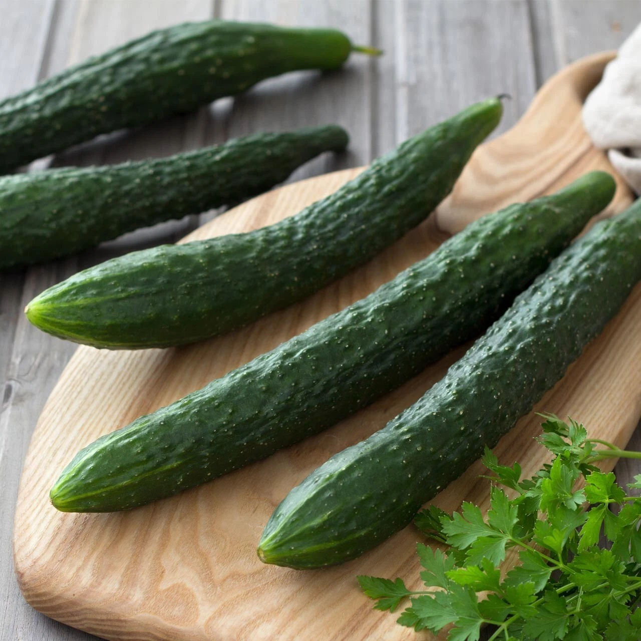 50+ Suyo Long Cucumber Seeds  -------------------- Genuine -----RARE - $8.00