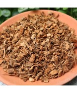Coconut Fiber/Husk bedding for insect zip bag 1kg - $76.14 MXN