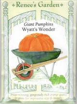 GIB Pumpkin Giant Wyatt&#39;s Wonder Vegetable Seeds Renee&#39;s Garden  - £7.19 GBP