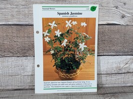 Spanish Jasmine Card #36 Success W/House Plants 1985 Single Replacement ... - £2.59 GBP