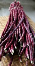 20 Seeds Purple-Red Yard Long Bean Asian Chinese Noodle Bean String - £7.80 GBP