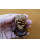 (tb-octo-47) standing Octopus TAGUA NUT palm figurine Bali carving reef ... - £30.78 GBP
