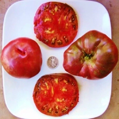 Black From Tula Russian Beefsteak – 40 Seeds Fragrant - $3.14