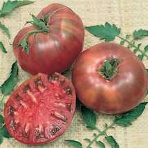 Cherokee Purple Tomato Heirloom, NON-GMO, Variety Sizes 30 seeds - £2.62 GBP