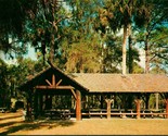 Vtg Postcard Ocala National Forest Florida FL Juniper Springs Recreation... - £4.70 GBP