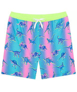 chubbies Boys' Magic Print Swim Trunks Mesh liner Colorful Size XL Dino Pockets - $37.39