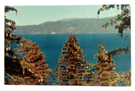 Lake Tahoe Sugar Pine Trees California UNP Mirro Krome Frasher Postcard c1950s - £5.46 GBP