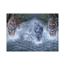 Royal &amp; Langnickel 11 x 15 inch Three Tigers Pre-Printed Paint by Number Paintin - £14.88 GBP