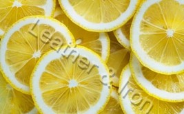 Lemons Design Vinyl Checkbook Cover Lemon Love - £6.85 GBP